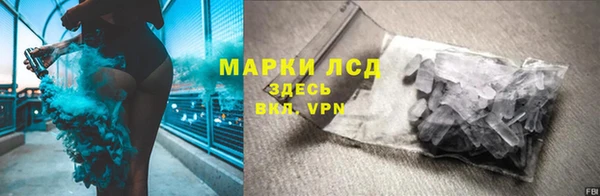 гидропоника Дмитриев