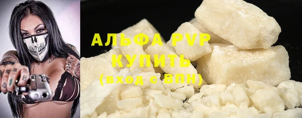 ешки Пересвет