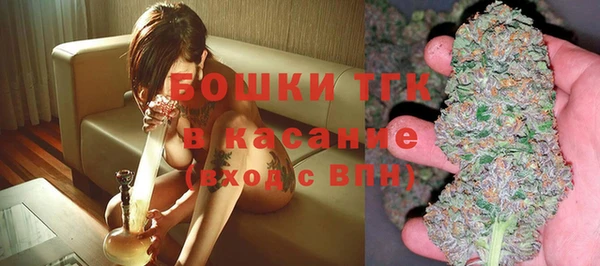 ешки Пересвет