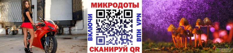 Псилоцибиновые грибы ЛСД  Балашов 