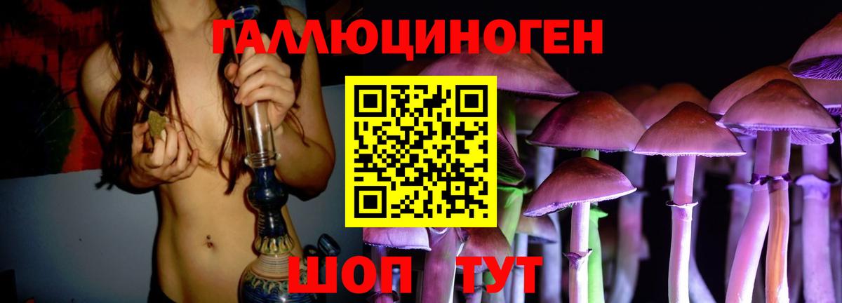 Псилоцибиновые грибы Psilocybe Балашов
